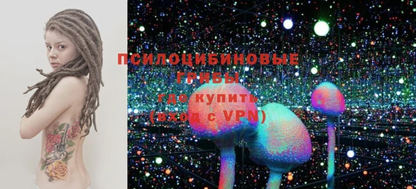 PSILOCYBIN Алзамай