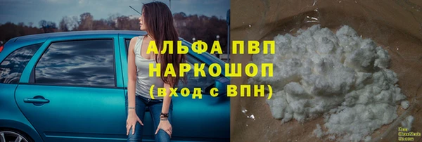 PSILOCYBIN Алзамай