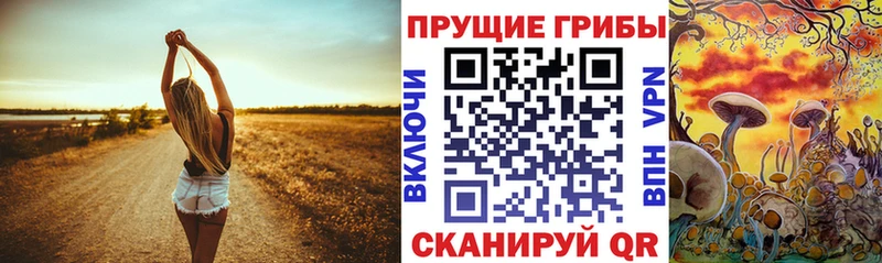 Галлюциногенные грибы GOLDEN TEACHER  Купить закладки  Бугульма 